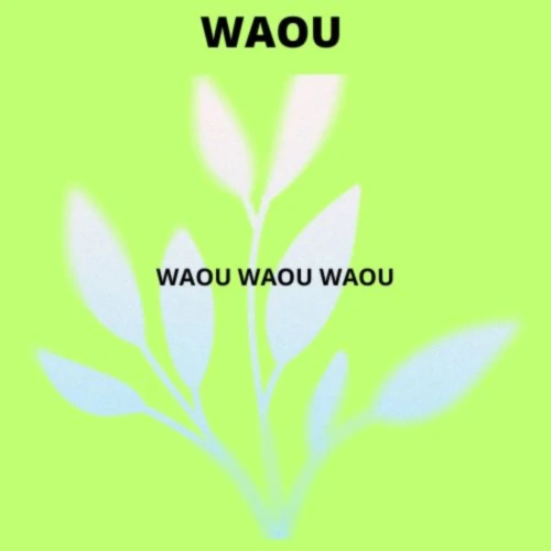 Banner image of SOUF BACO