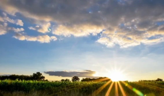 Banner image of SiRoM82