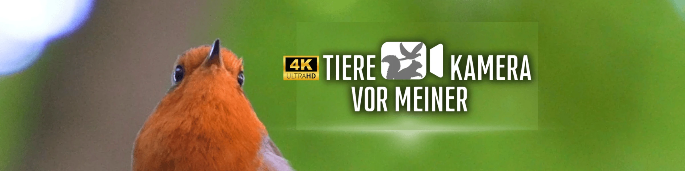 Bannerbild von Tiere vor meiner Kamera