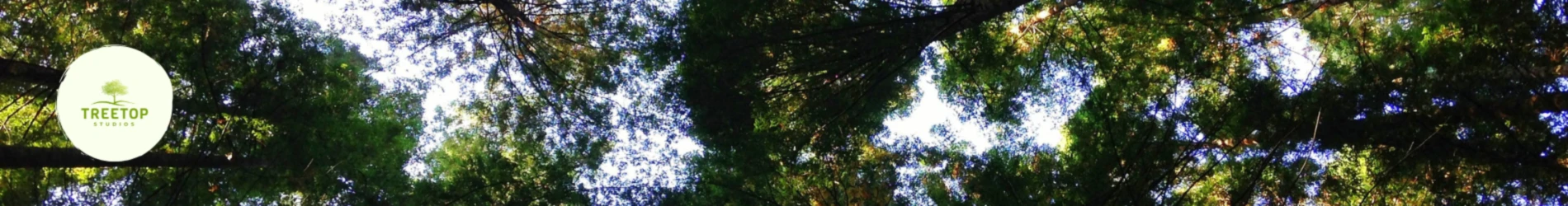 Banner image of Treetopstudios