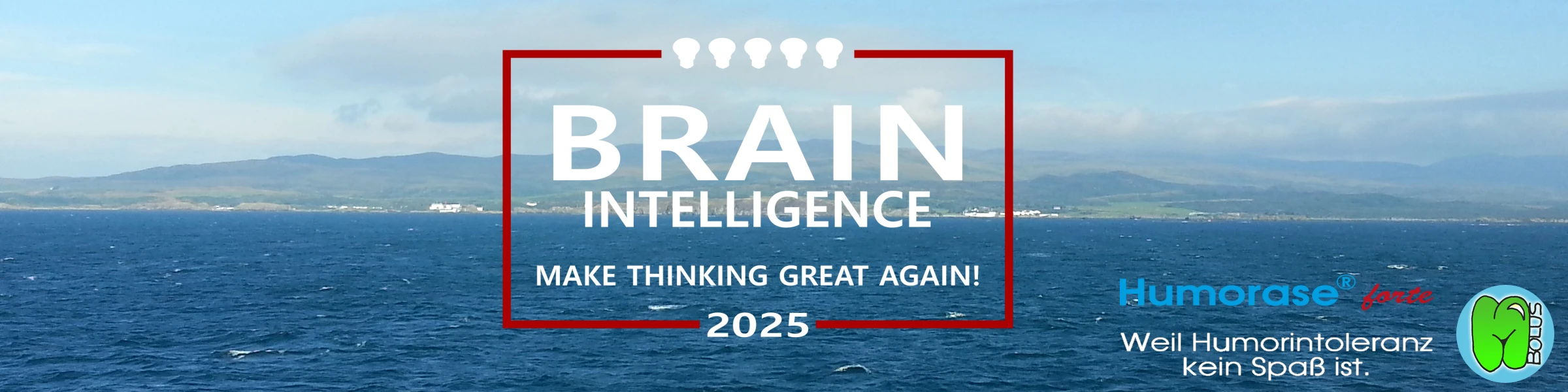 Bannerbild von MBolus