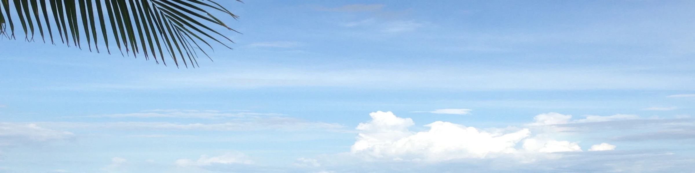 Banner image of Topbaseline Austria