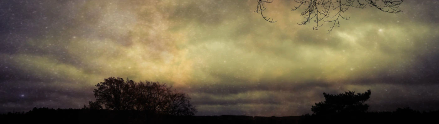 Banner image of Outer Space Shop