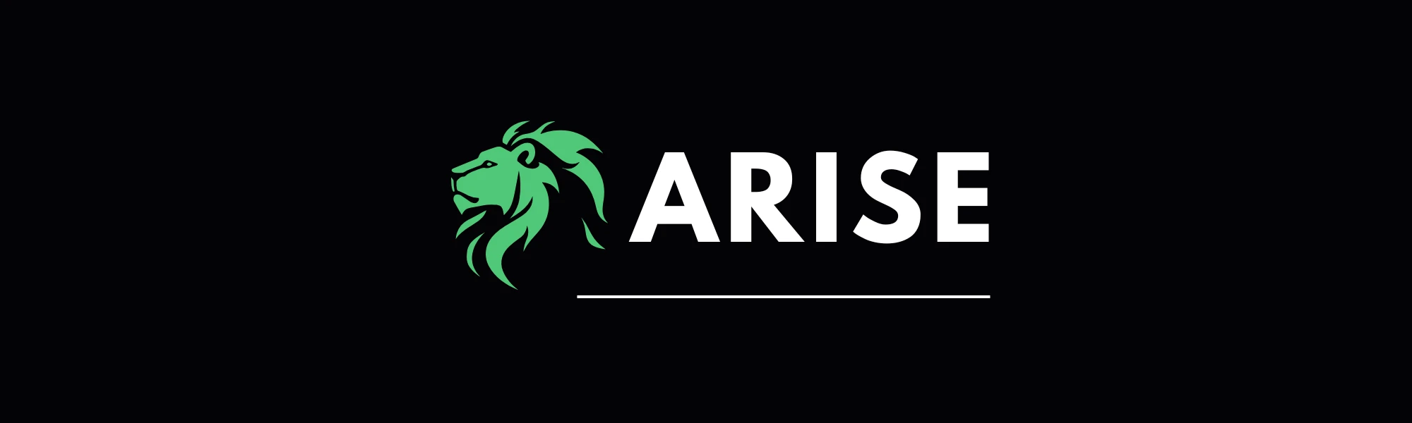 Banner image of ARISE-fashion