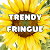 Trendy Fringue