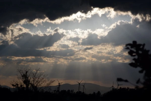 Banner image of Wollewood