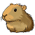 CapybaraShop