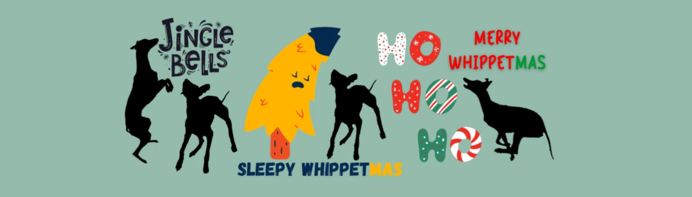 Bannerbild von BOW creative