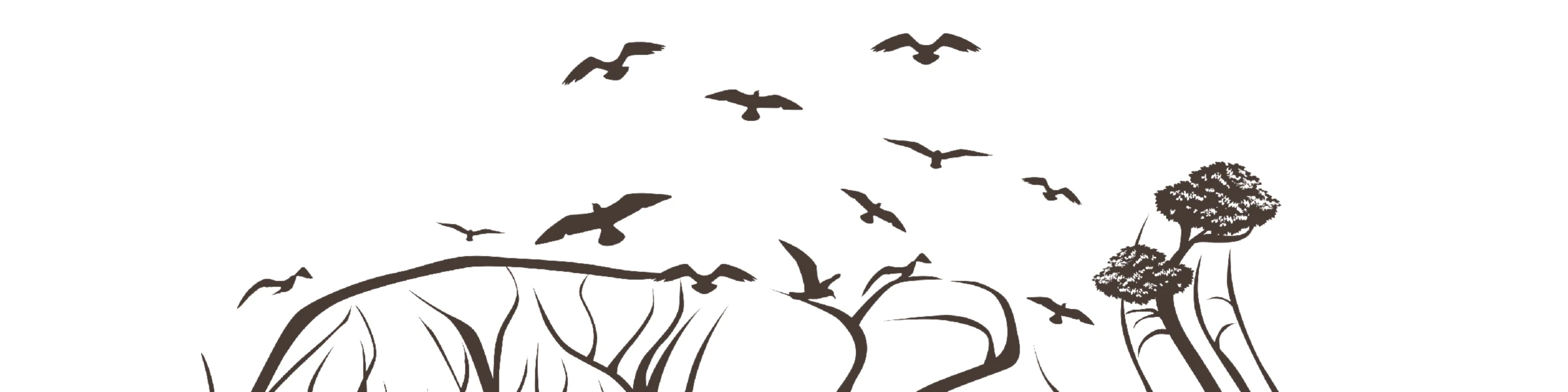 Banner image of Deer Designs
