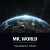 Mr. World