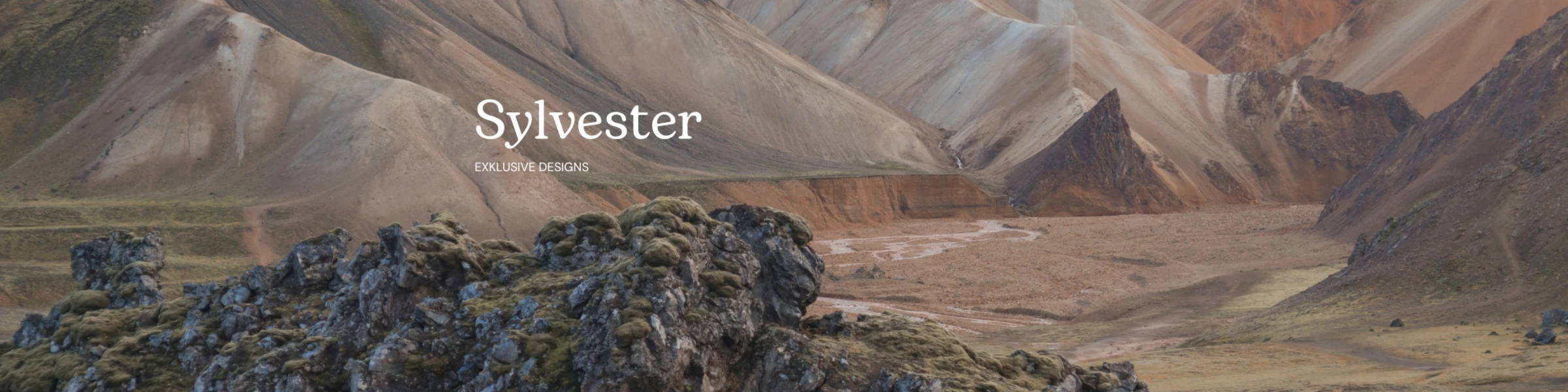 Banner image of C.Sylvester