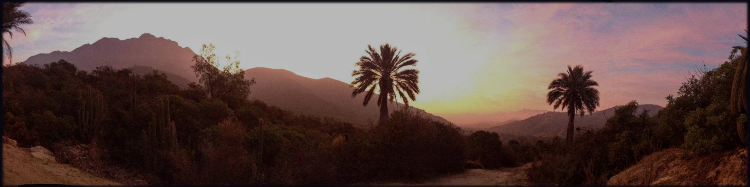 Banner image of Omilen