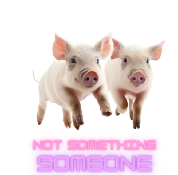 BanniĂšre de NotSomethingSomeone