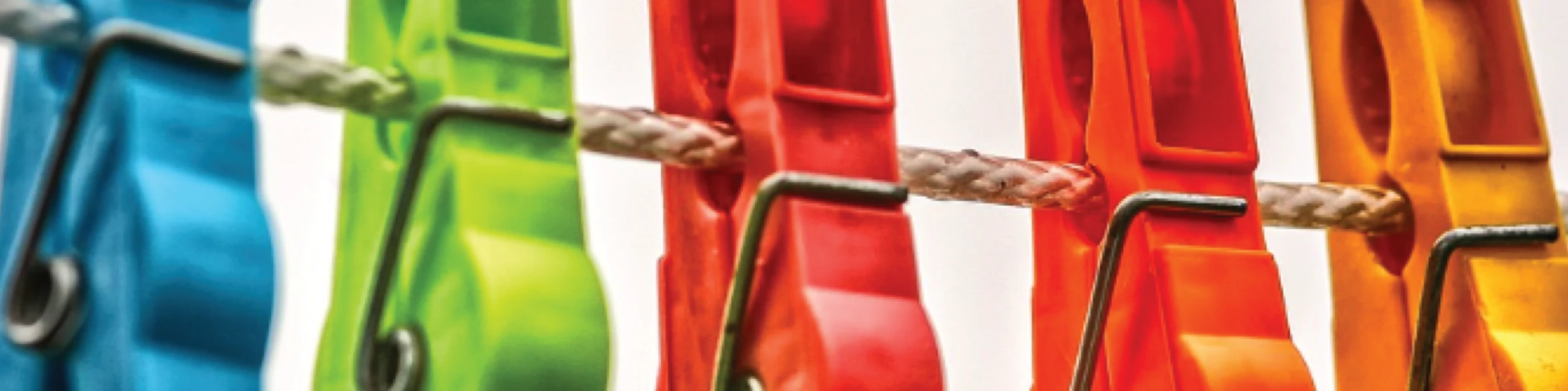 Banner image of Togs2Tease