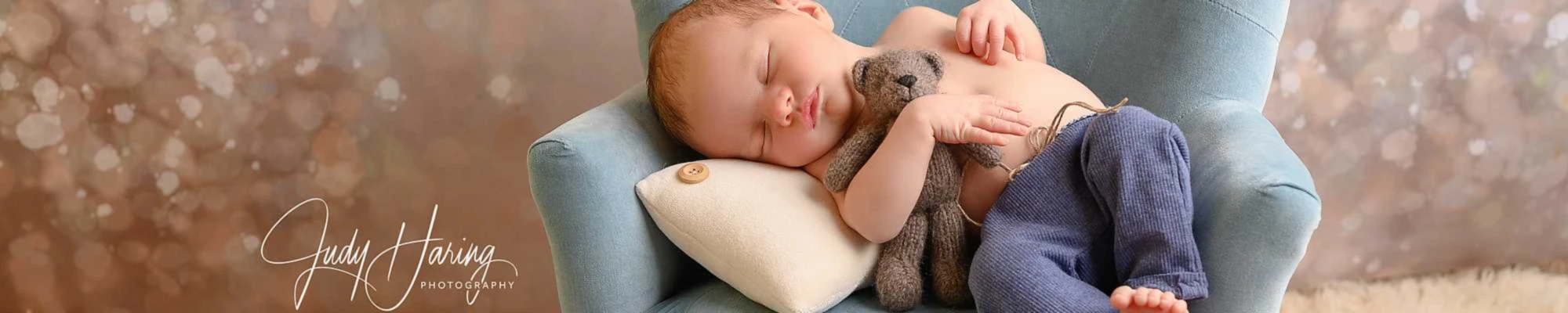 Banner image of Judy Haring Photography