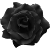 Black Flower
