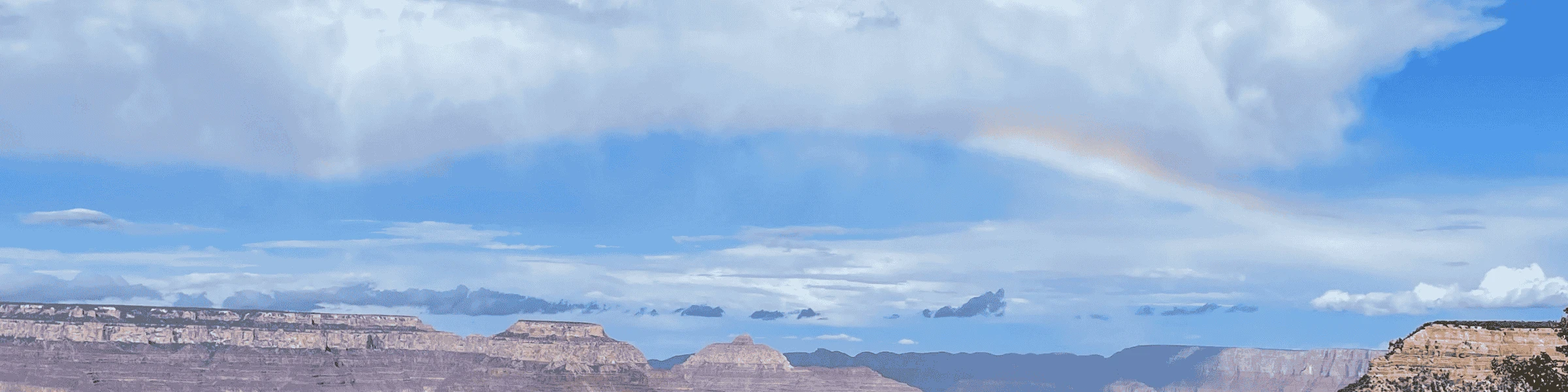 Banner image of Serendipity-Berry