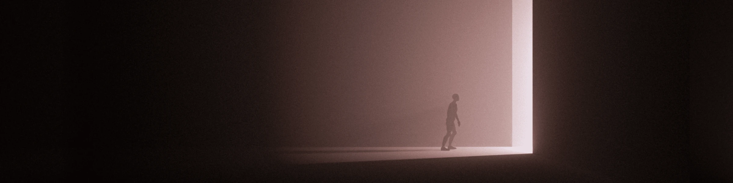 Bannière de Davidcs