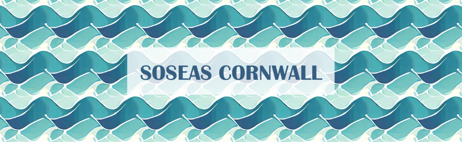 Banner image of SOSEAS CORNWALL