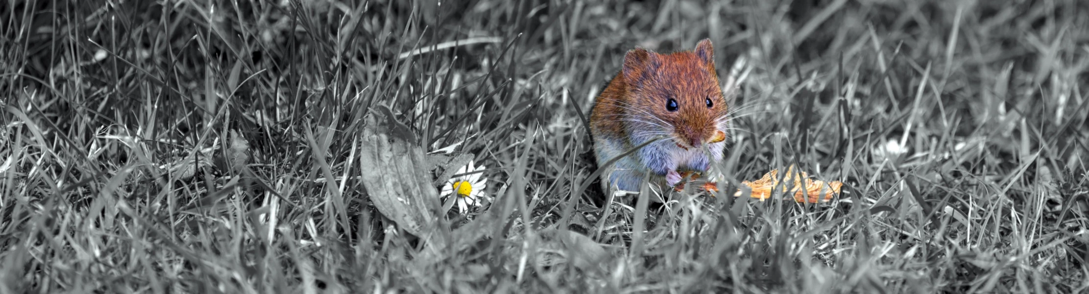 Banner image of UniqueLikeYou