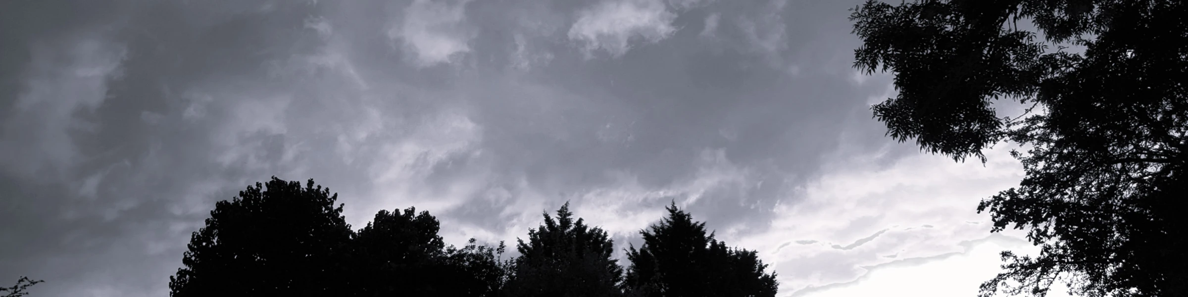 Banner image of Fairytale Tees