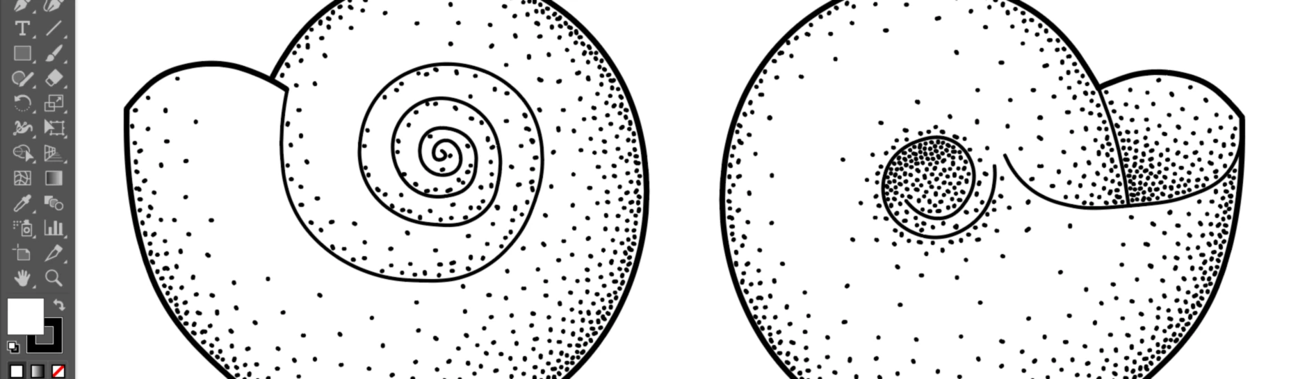 Banner image of AkanthusDesign