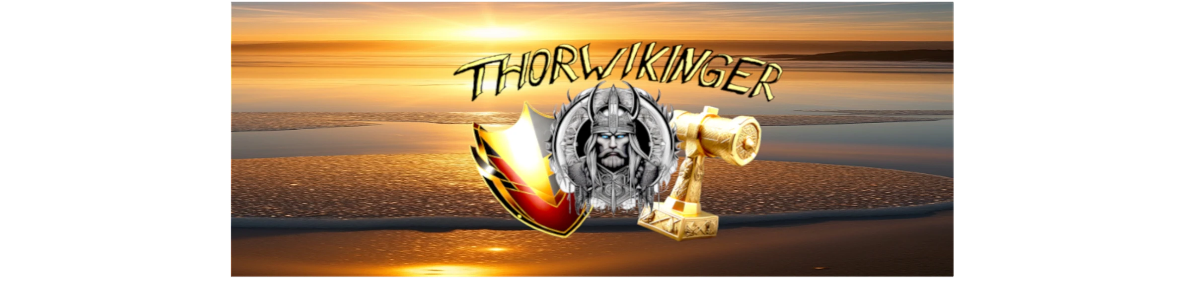Banner image of ThorWikinger