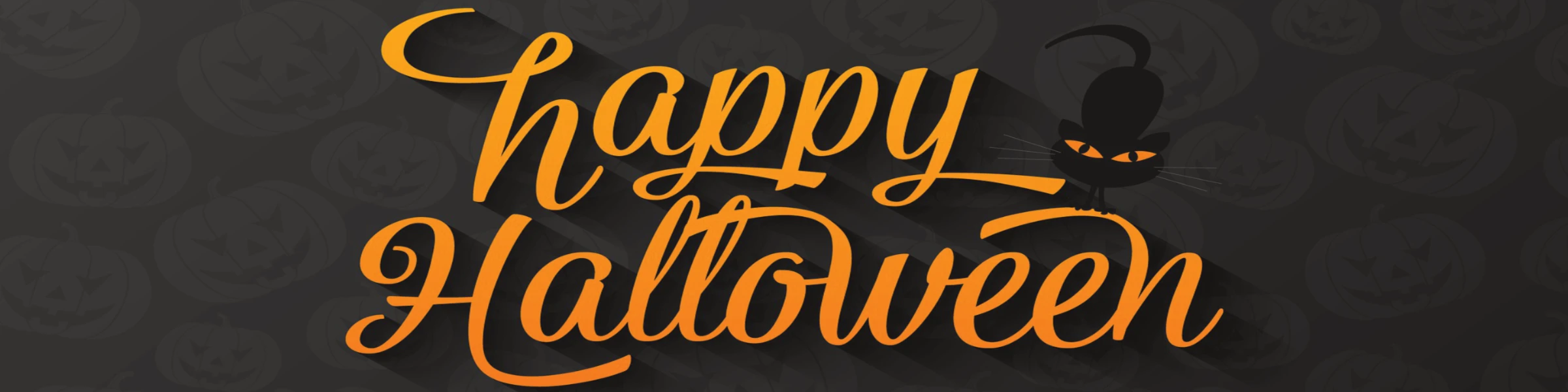 Bannerbild von katzmatratz