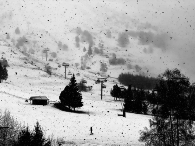 Banner image of Nature Place