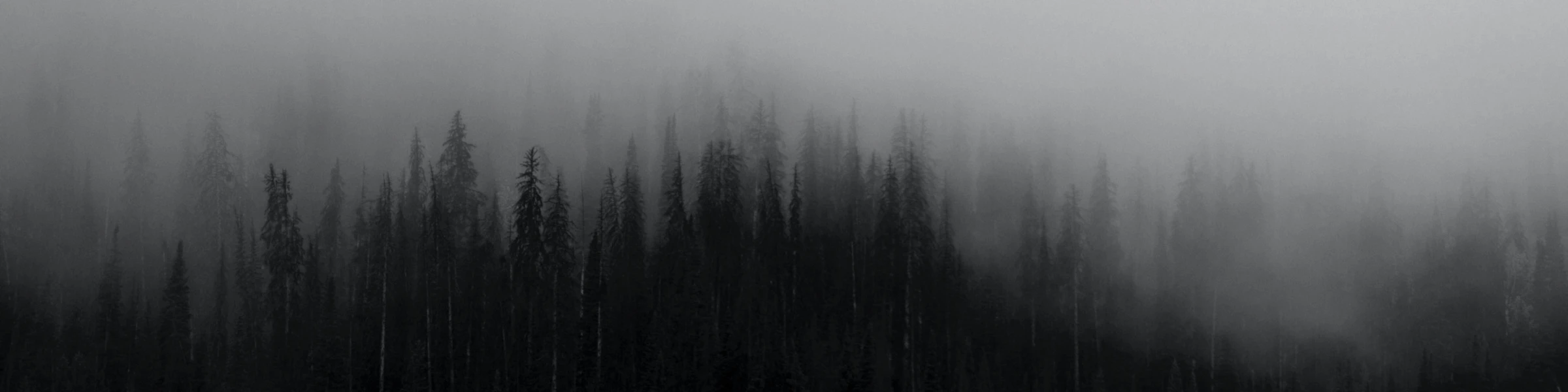 Bannerbild von Dark Lilly