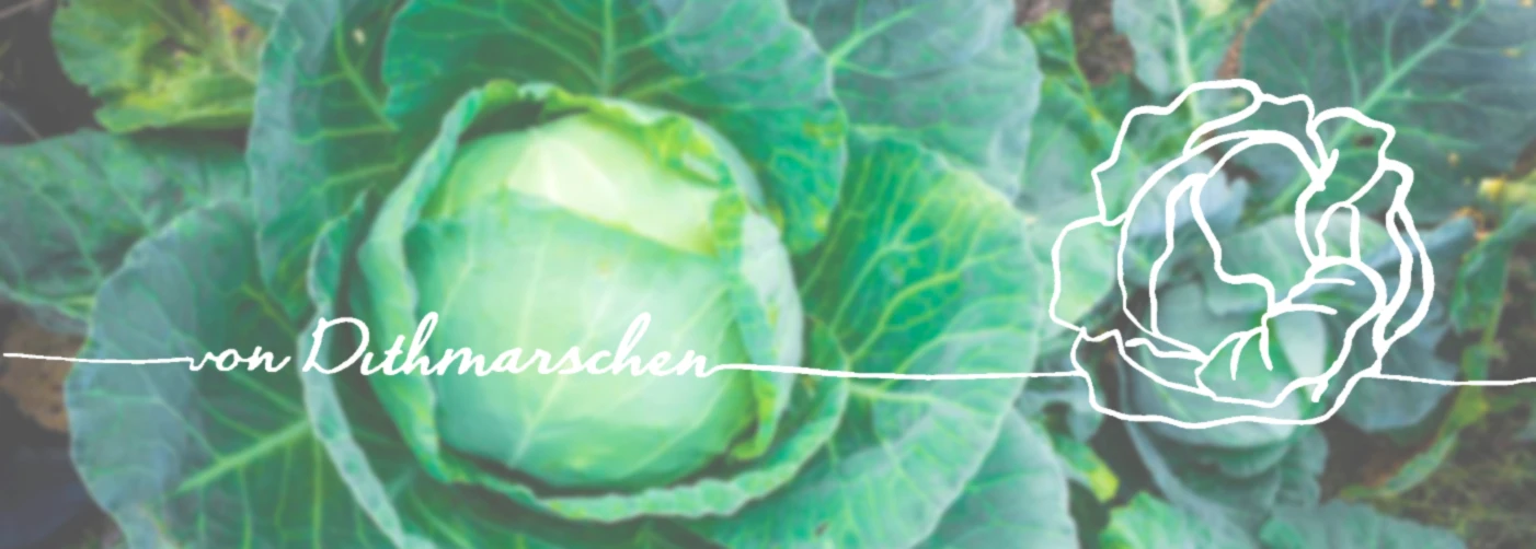 Banner image of von Dithmarschen