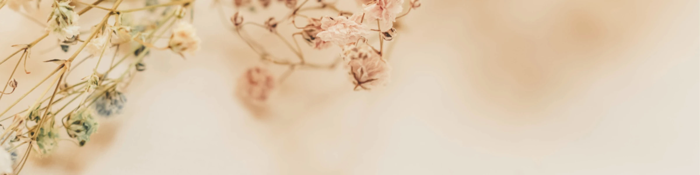 Banner image of MiSata