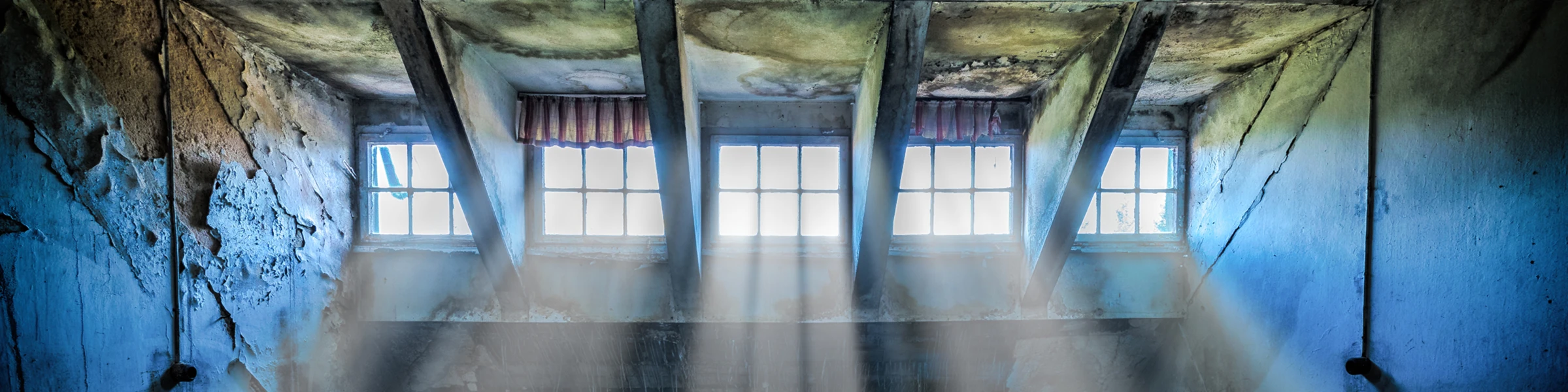 Bannerbild von GS-Photos