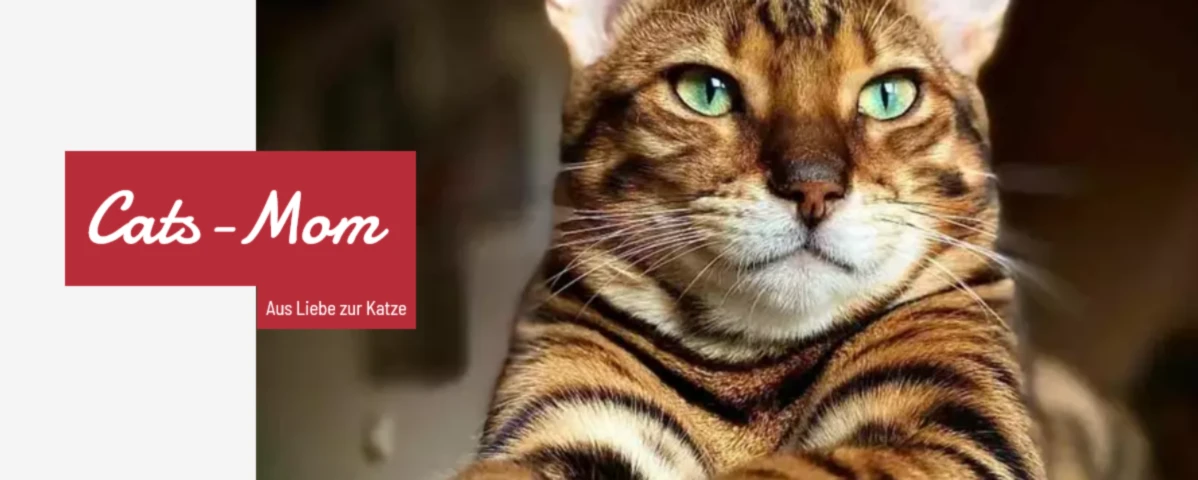 Bannerbild von Kretschel-Consulting