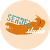 SERDEL studio