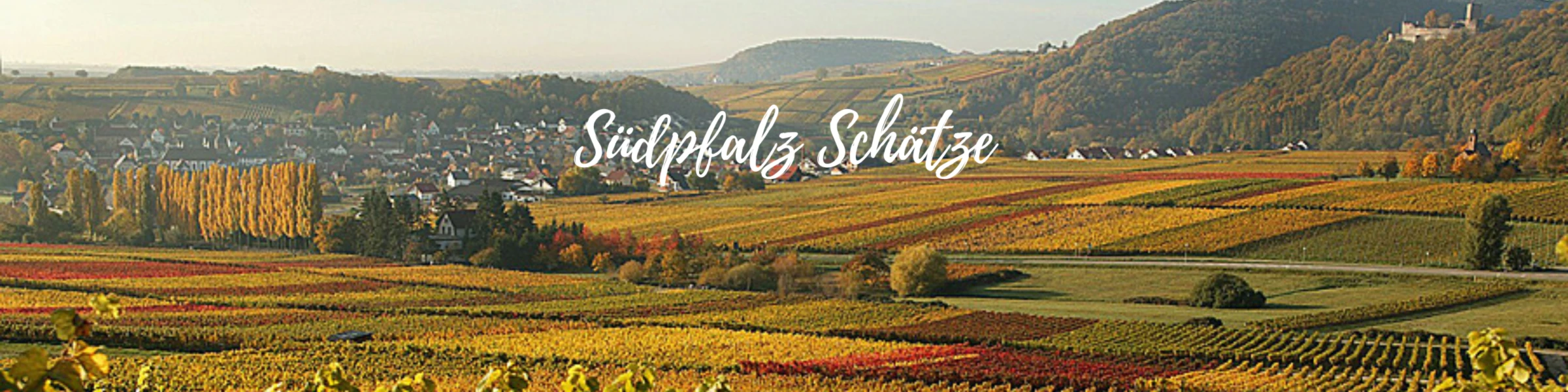 Banner image of Jonas Keller