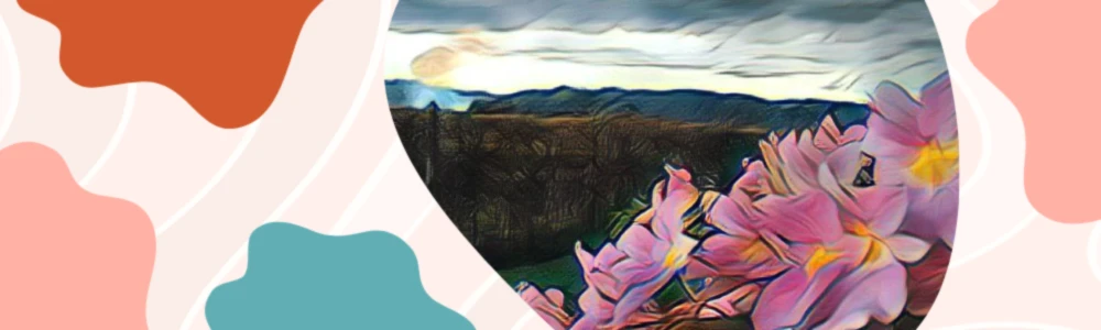 Banner image of DesingBlend