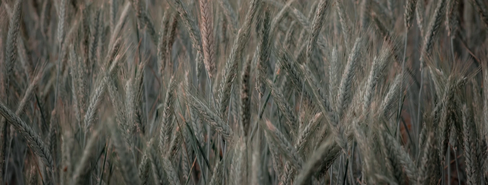 Banner image of Johnkon Pictures