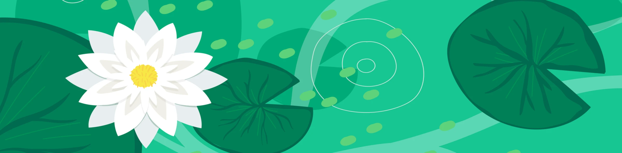 Bannerbild von Monsieur-Dupont