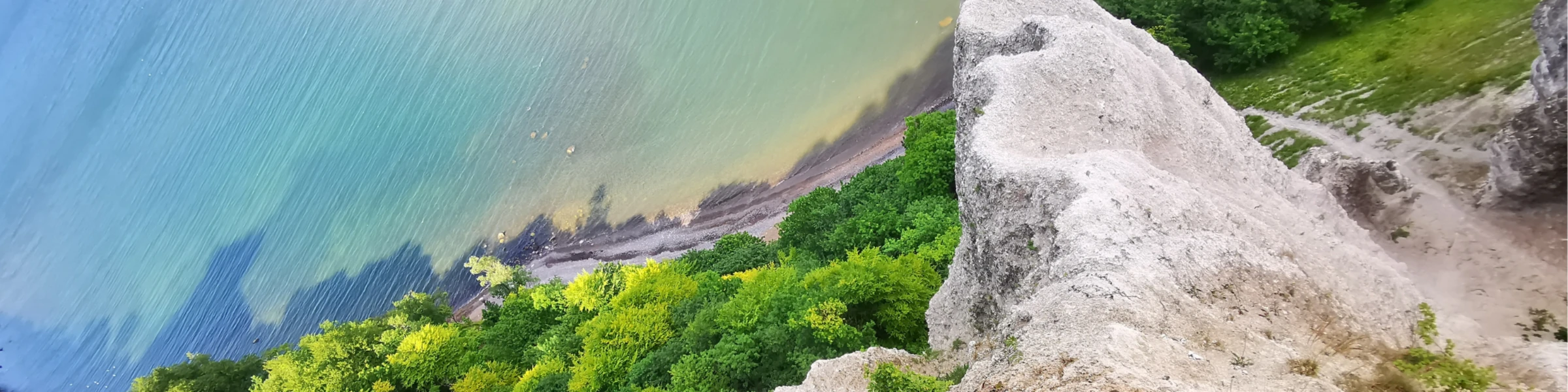 Bannière de PAFIMA Trends