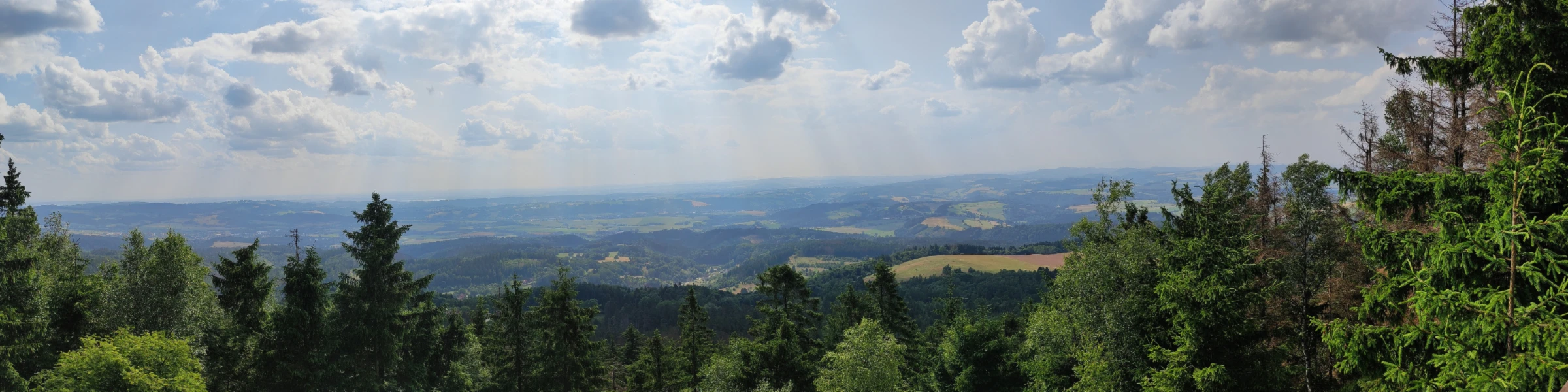 Banner image of Kika19