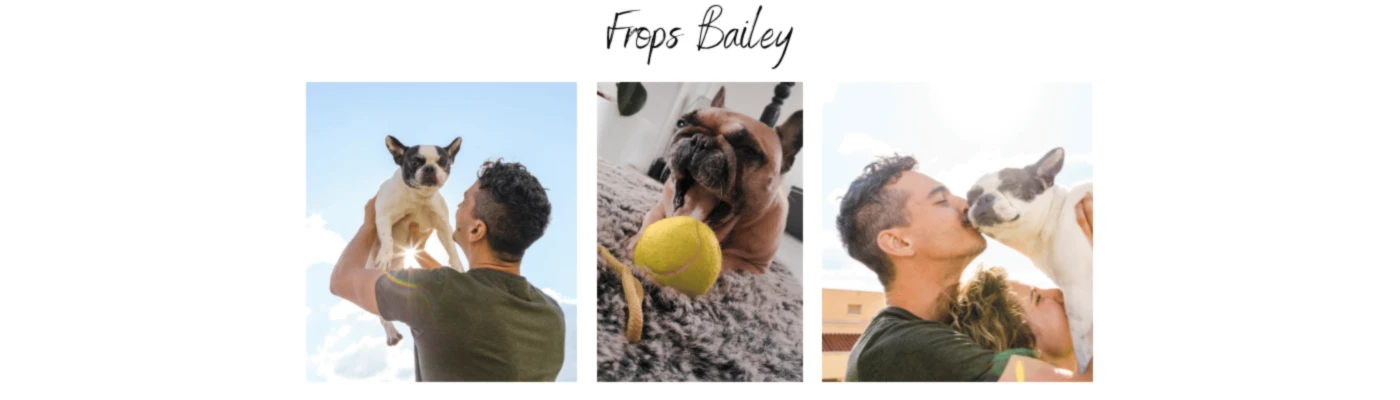Banner image of Frops Bailey