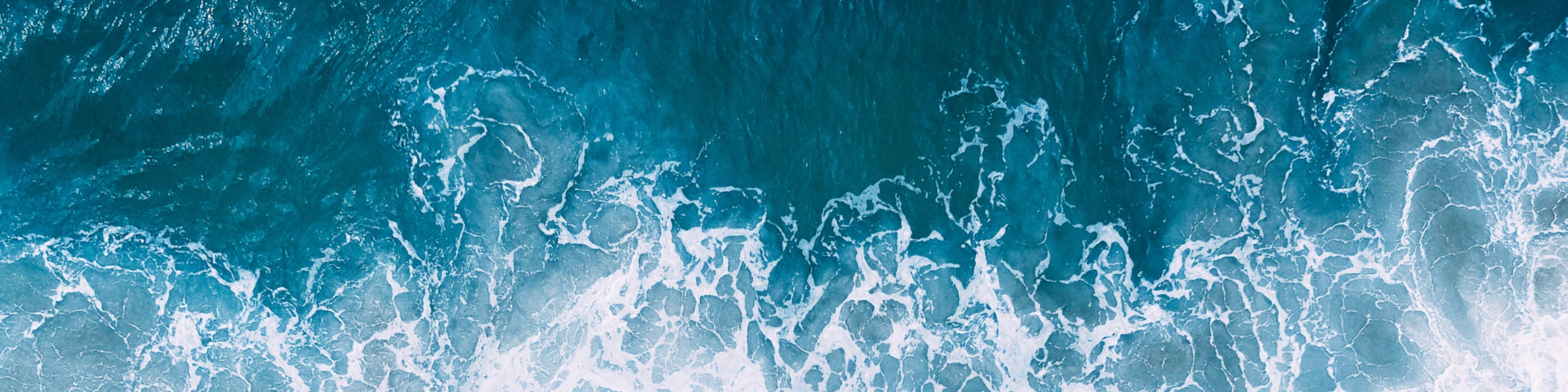 Banner image of AdaSoulutions