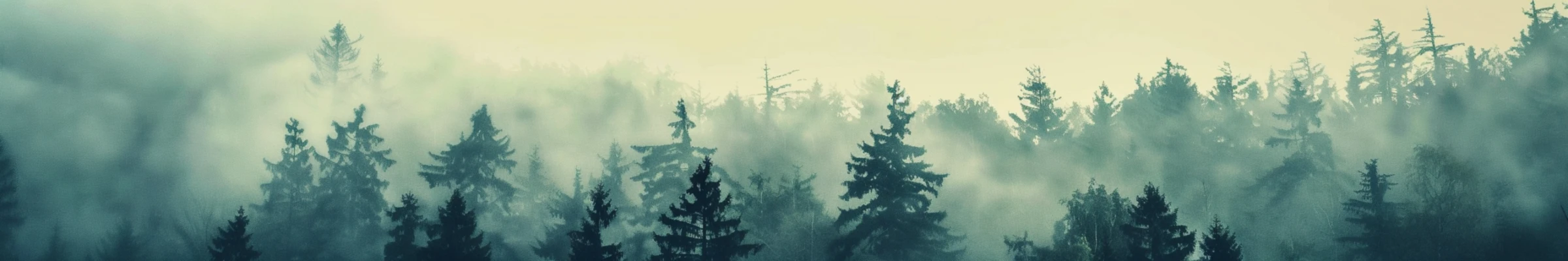 Bannerbild von Vythryd Arts