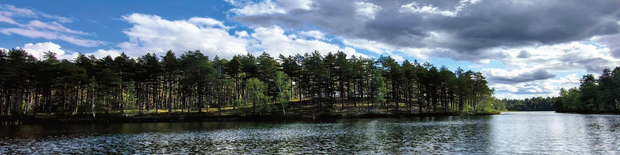 Banner image of waidteckel - das Original