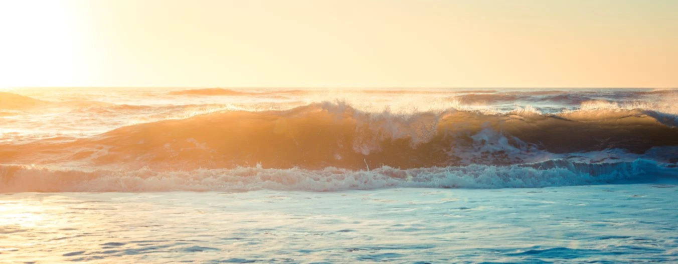 Bannerbild von StreetWaveWear