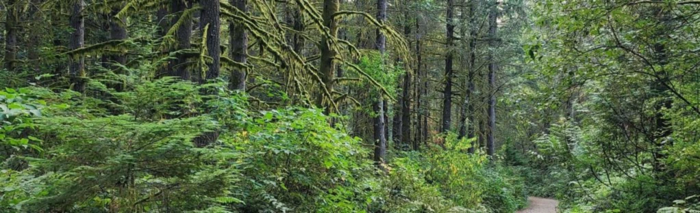 Bannerbild von DownhollStyleApparel