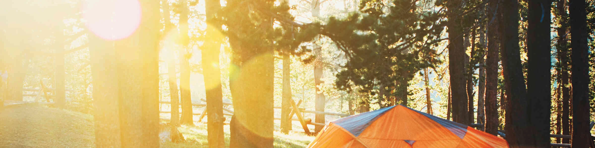 Banner image of RosenLeng