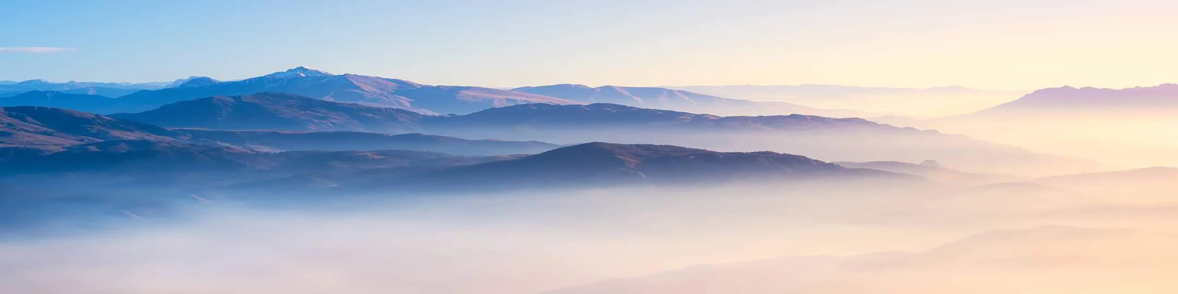 Banner image of MacMerch