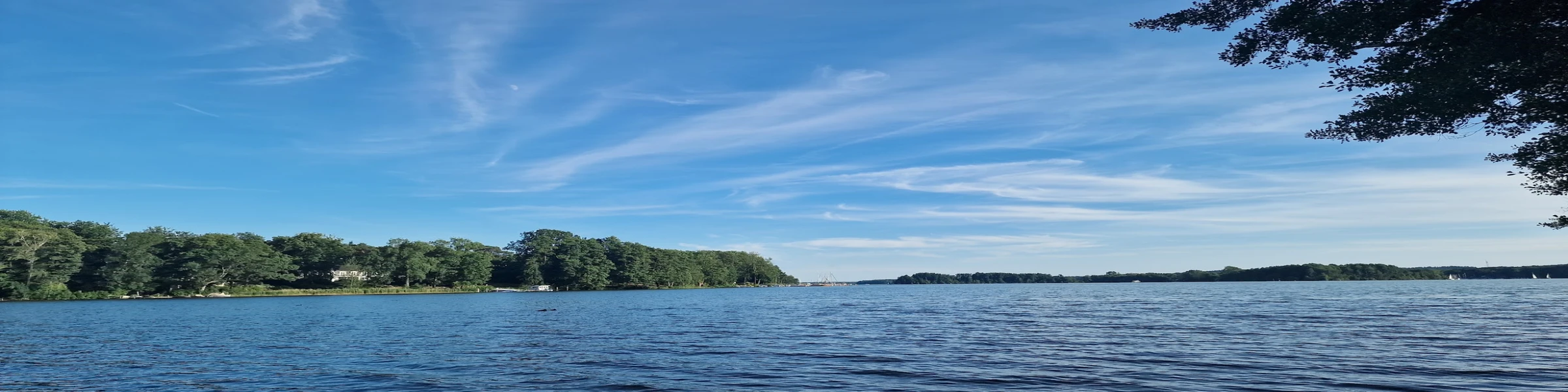 Bannerbild von Inspired Shirts